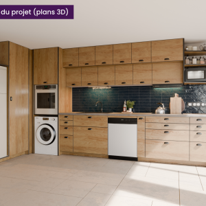 Plan 3D d’une cuisine contemporaine avec four, lave-linge et lave-vaisselle encastrés – rénovation à Villeurbanne